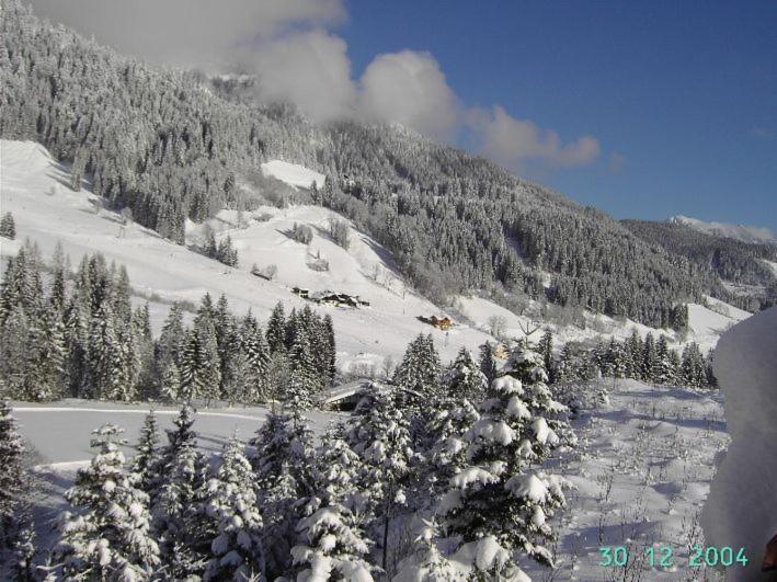 Ferienapartments Reusch Sankt Martin am Tennengebirge Exterior foto